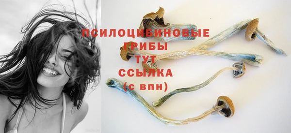 2c-b Белокуриха