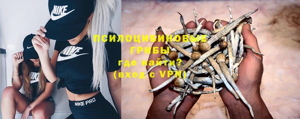 мяу мяу мука Белоозёрский