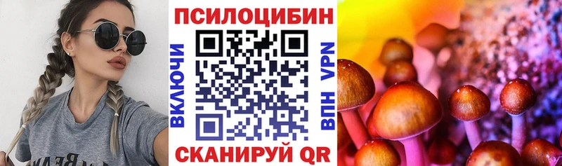 Псилоцибиновые грибы Psilocybe  Горняк 